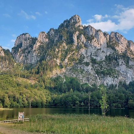 Neues Traunsee Apartment Altmünster Eksteriør billede