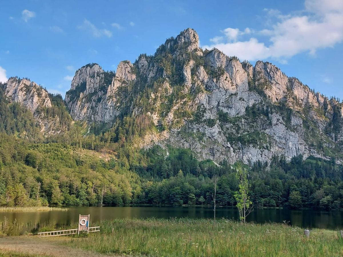 Neues Traunsee Apartment Altmünster Eksteriør billede