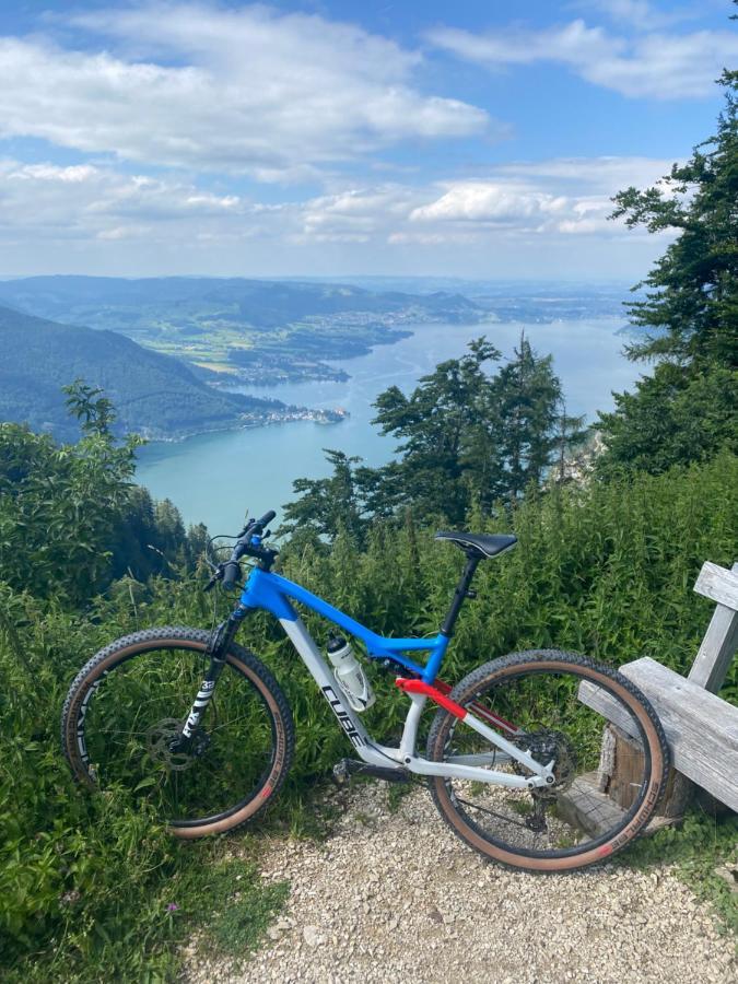 Neues Traunsee Apartment Altmünster Eksteriør billede